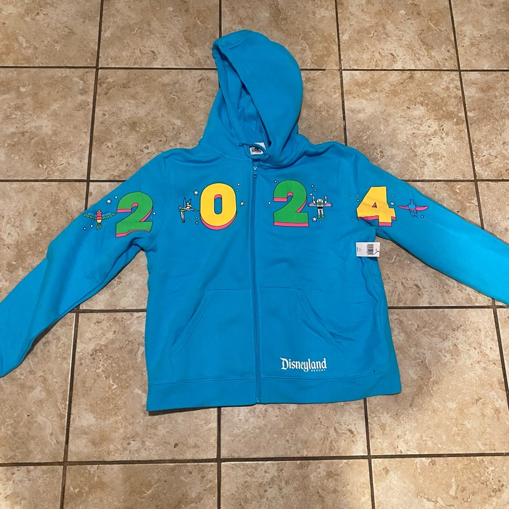 2024 Disneyland zip up hoodie sweater